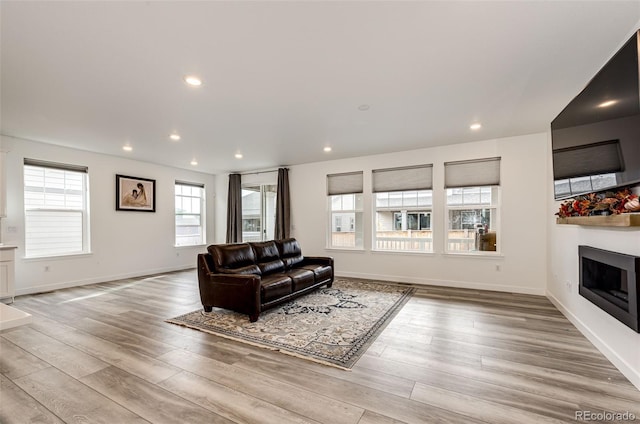 living room featuring light hardwood / wood-style flooring