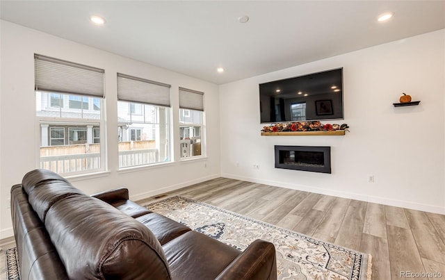 living room featuring light hardwood / wood-style floors