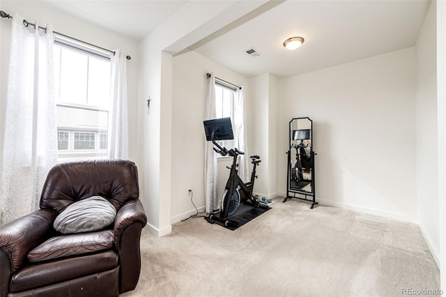 exercise area featuring light colored carpet