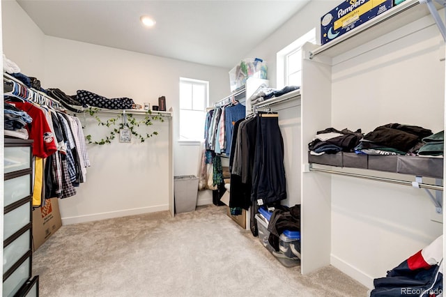 spacious closet with light carpet