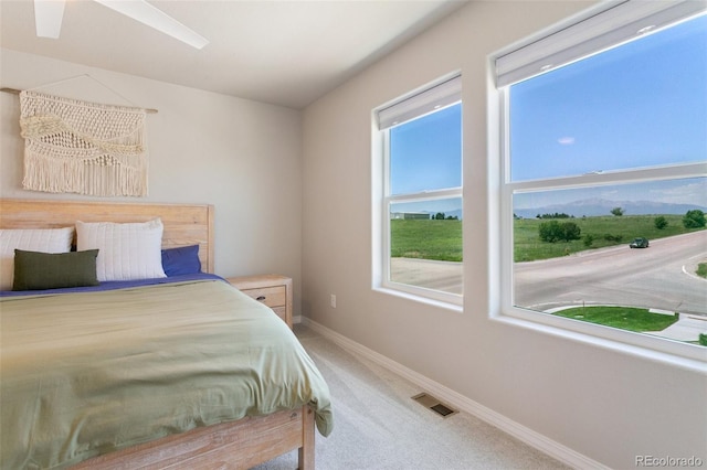 7407 Rufous Fronted Vw, Colorado Springs, CO 80923 - carpeted bedroom featuring baseboards