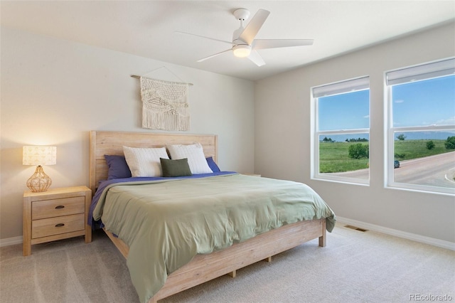 7407 Rufous Fronted Vw, Colorado Springs, CO 80923 - carpeted bedroom with baseboards and ceiling fan