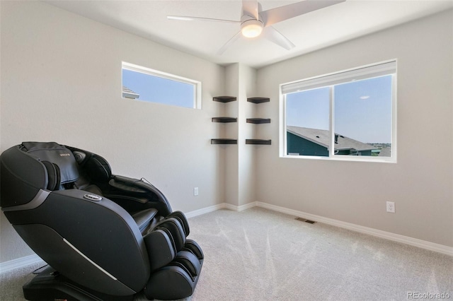 7407 Rufous Fronted Vw, Colorado Springs, CO 80923 - living area with carpet flooring and ceiling fan