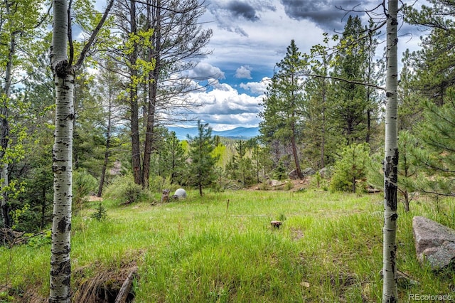 12346 Bear Haven Rd, Conifer, CO 80433 - view of yard featuring a wooded view