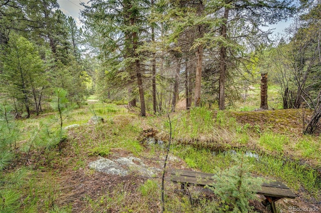12346 Bear Haven Rd, Conifer, CO 80433 - view of tree filled area