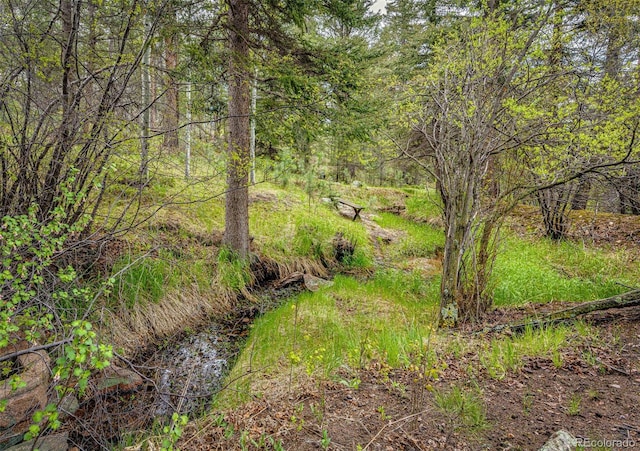 12346 Bear Haven Rd, Conifer, CO 80433 - view of woods