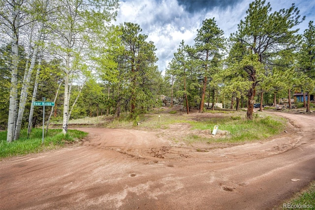 12346 Bear Haven Rd, Conifer, CO 80433 - view of dirt / gravel road