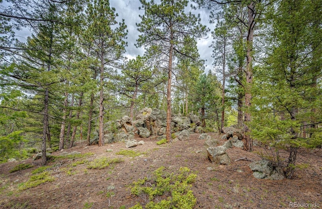 12346 Bear Haven Rd, Conifer, CO 80433 - view of wooded area