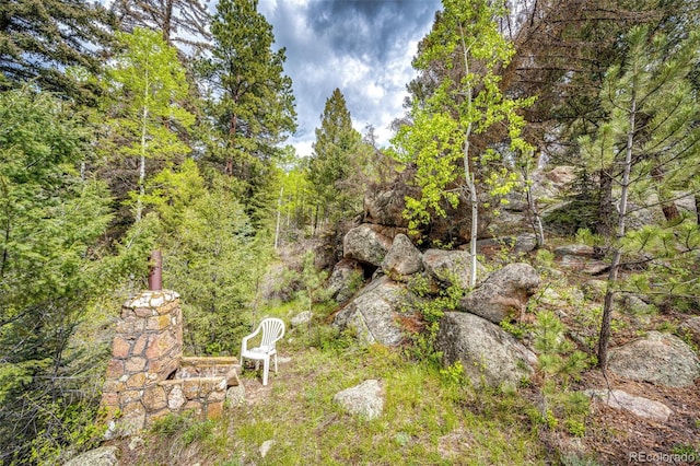 12346 Bear Haven Rd, Conifer, CO 80433 - view of yard featuring a forest view