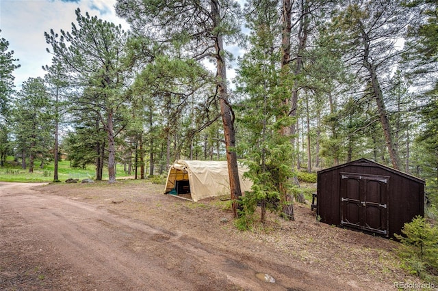 12346 Bear Haven Rd, Conifer, CO 80433 - view of yard