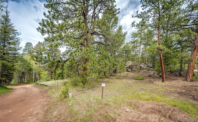 12346 Bear Haven Rd, Conifer, CO 80433 - view of yard featuring a view of trees