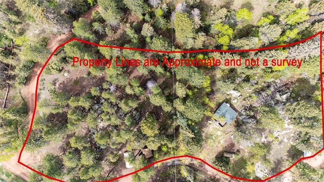12346 Bear Haven Rd, Conifer, CO 80433 - aerial view of property's location with property parcel outlined
