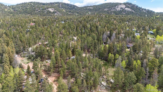 12346 Bear Haven Rd, Conifer, CO 80433 - mountain view featuring a heavily wooded area