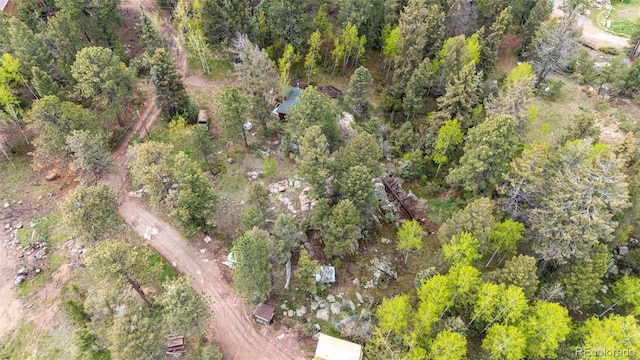 12346 Bear Haven Rd, Conifer, CO 80433 - aerial view of property's location