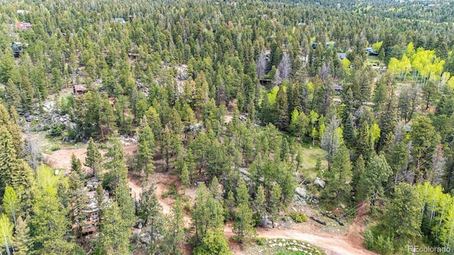 12346 Bear Haven Rd, Conifer, CO 80433 - view of property location with a heavily wooded area