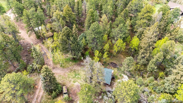 12346 Bear Haven Rd, Conifer, CO 80433 - aerial view