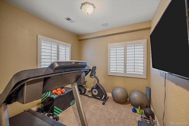 8655 E 130th Ave, Thornton, CO 80602 - exercise room featuring carpet flooring and a textured wall