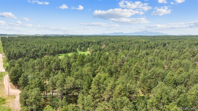 10760 Hardy Rd, Colorado Springs, CO 80908 - photo 42