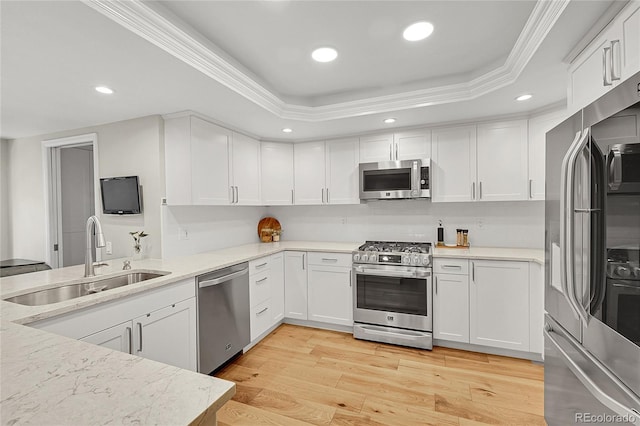 kitchen with appliances with stainless steel finishes, a sink, a raised ceiling, ornamental molding, and white cabinets