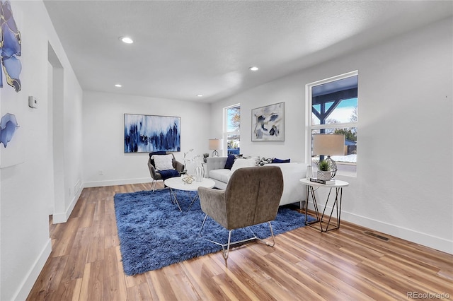 living room featuring a textured ceiling and hardwood / wood-style flooring