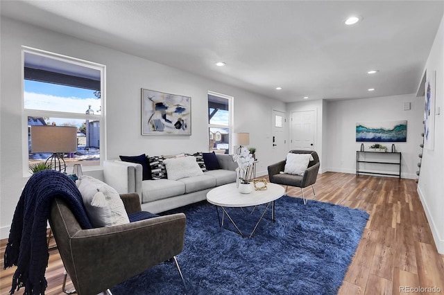 living room featuring plenty of natural light and wood-type flooring