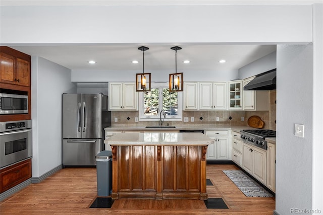 kitchen with wood finished floors, a sink, under cabinet range hood, appliances with stainless steel finishes, and backsplash