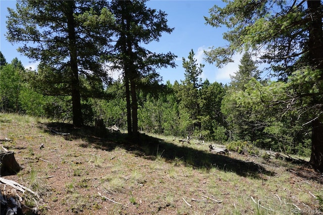 1000 Bennett, Cripple Creek, CO 80813 - photo 1
