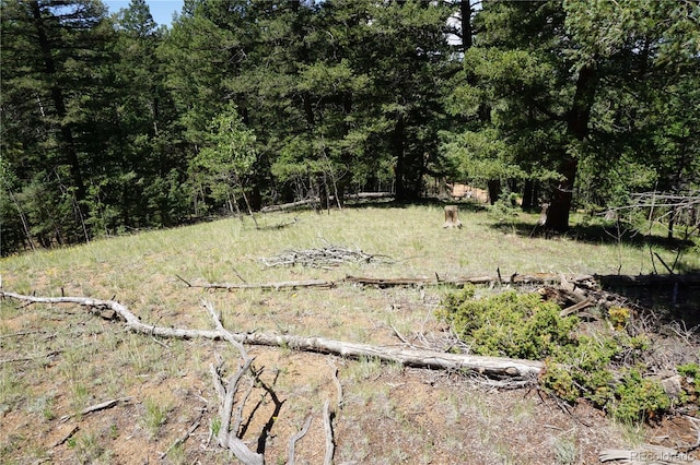 1000 Bennett, Cripple Creek, CO 80813 - photo 2