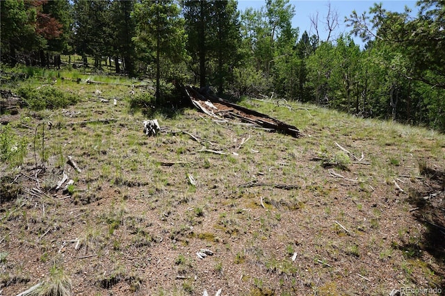 1000 Bennett, Cripple Creek, CO 80813 - photo 3