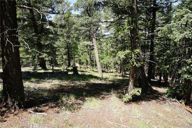 1000 Bennett, Cripple Creek, CO 80813 - photo 4