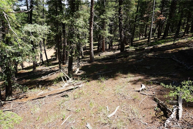 1000 Bennett, Cripple Creek, CO 80813 - photo 5