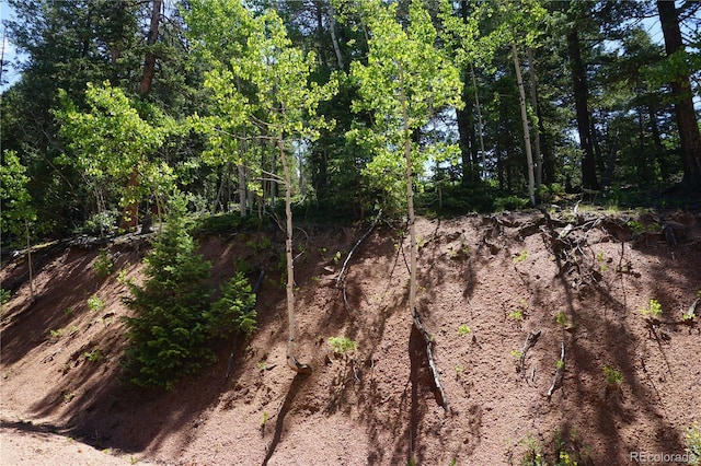 1000 Bennett, Cripple Creek, CO 80813 - photo 10