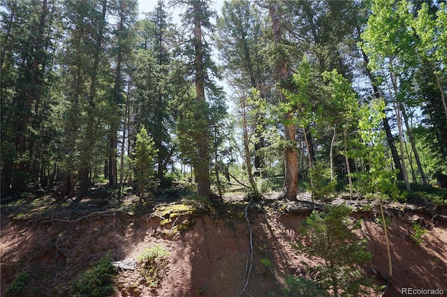 1000 Bennett, Cripple Creek, CO 80813 - photo 11