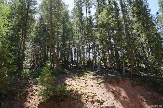 1000 Bennett, Cripple Creek, CO 80813 - photo 12