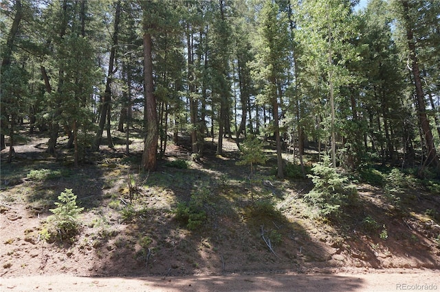 1000 Bennett, Cripple Creek, CO 80813 - photo 13