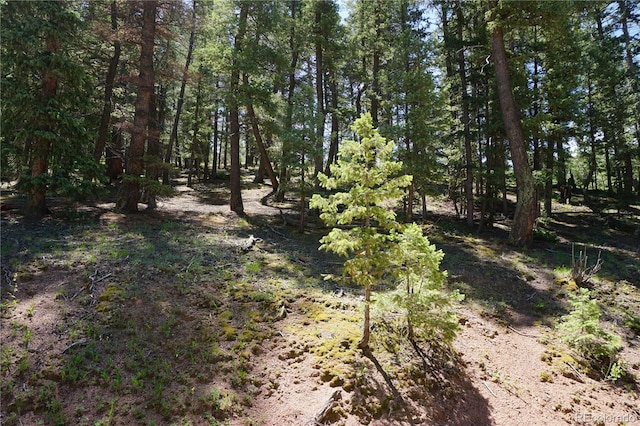 1000 Bennett, Cripple Creek, CO 80813 - photo 14