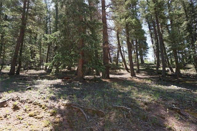 1000 Bennett, Cripple Creek, CO 80813 - photo 15