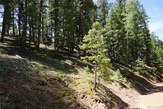 1000 Bennett, Cripple Creek, CO 80813 - photo 16