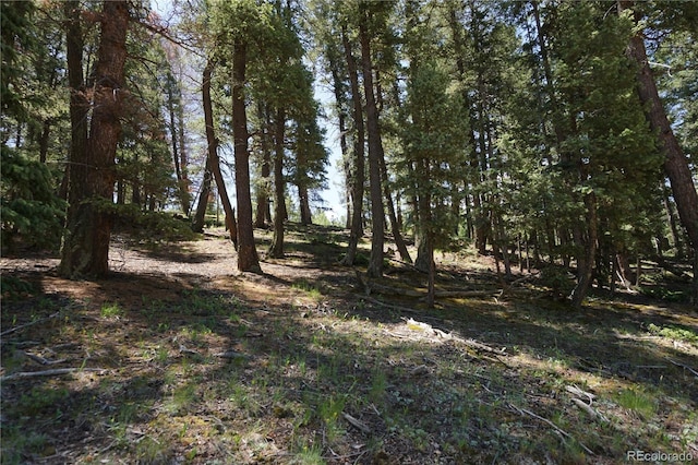 1000 Bennett, Cripple Creek, CO 80813 - photo 17