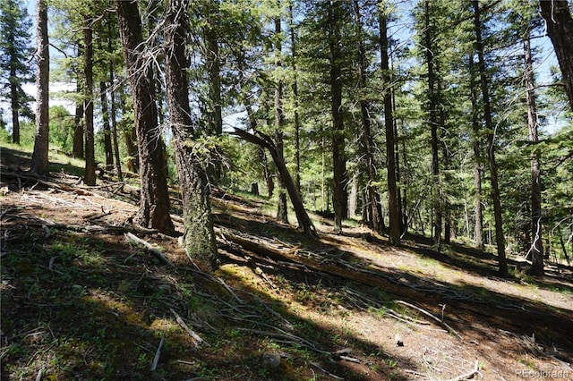 1000 Bennett, Cripple Creek, CO 80813 - photo 18