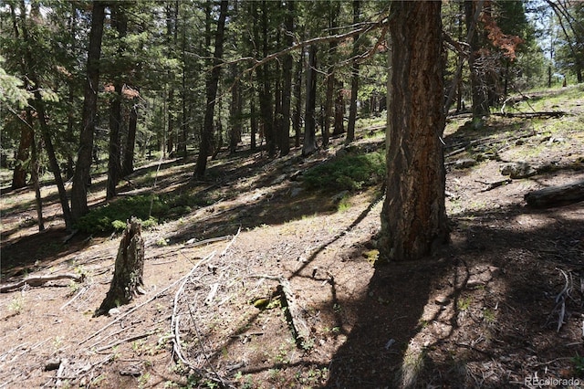 1000 Bennett, Cripple Creek, CO 80813 - photo 19