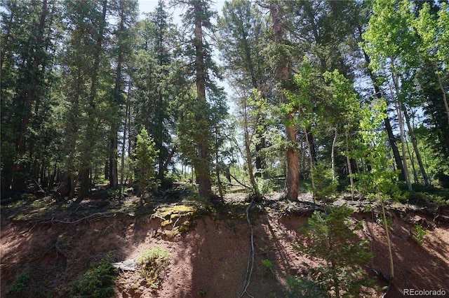 1000 Bennett, Cripple Creek, CO 80813 - photo 9