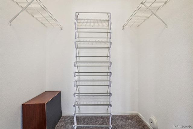 17442 Nature Walk Trl Unit 107, Parker, CO 80134 - walk in closet with radiator and carpet floors