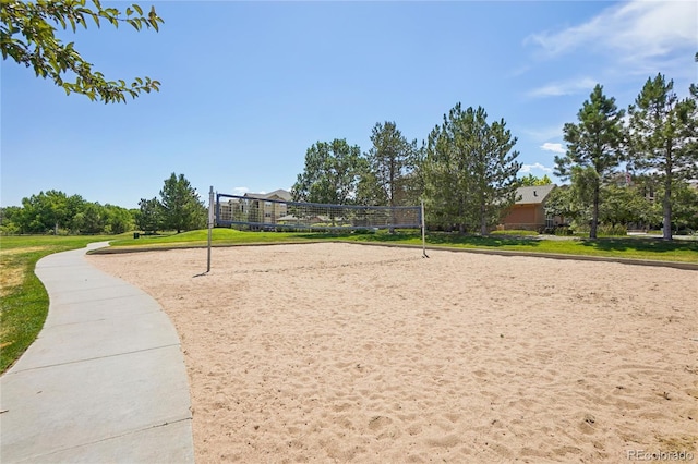 17442 Nature Walk Trl Unit 107, Parker, CO 80134 - surrounding community with volleyball court