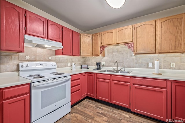 kitchen with tasteful backsplash, white range with electric stovetop, a sink, and under cabinet range hood