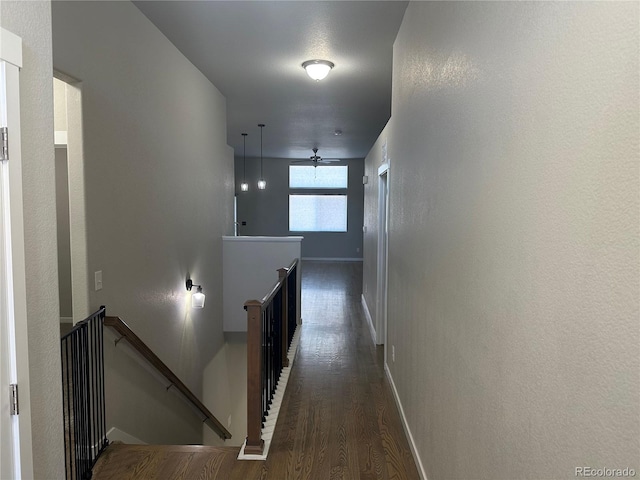 hall featuring dark hardwood / wood-style flooring