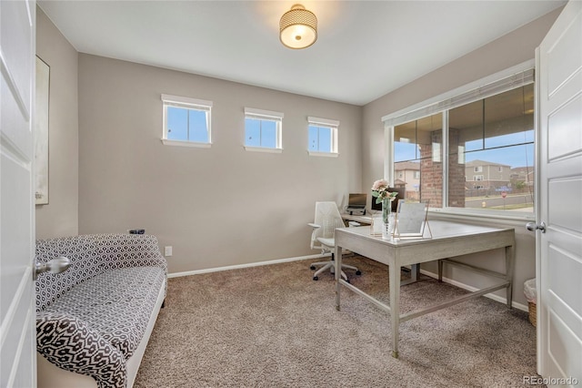 office space featuring carpet floors and baseboards