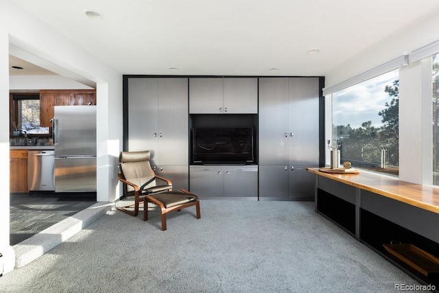 living area featuring sink and dark colored carpet