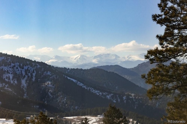 mountain view featuring a view of trees