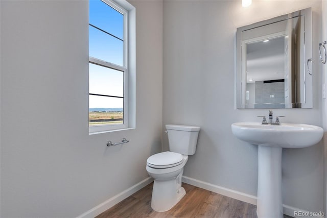 bathroom featuring wood-type flooring, toilet, and sink